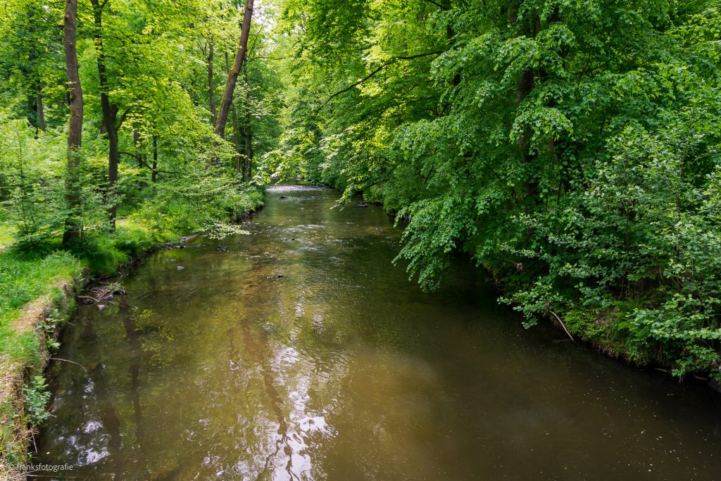 Die Röder bei Seifersdorf Schlössertour Rödertal