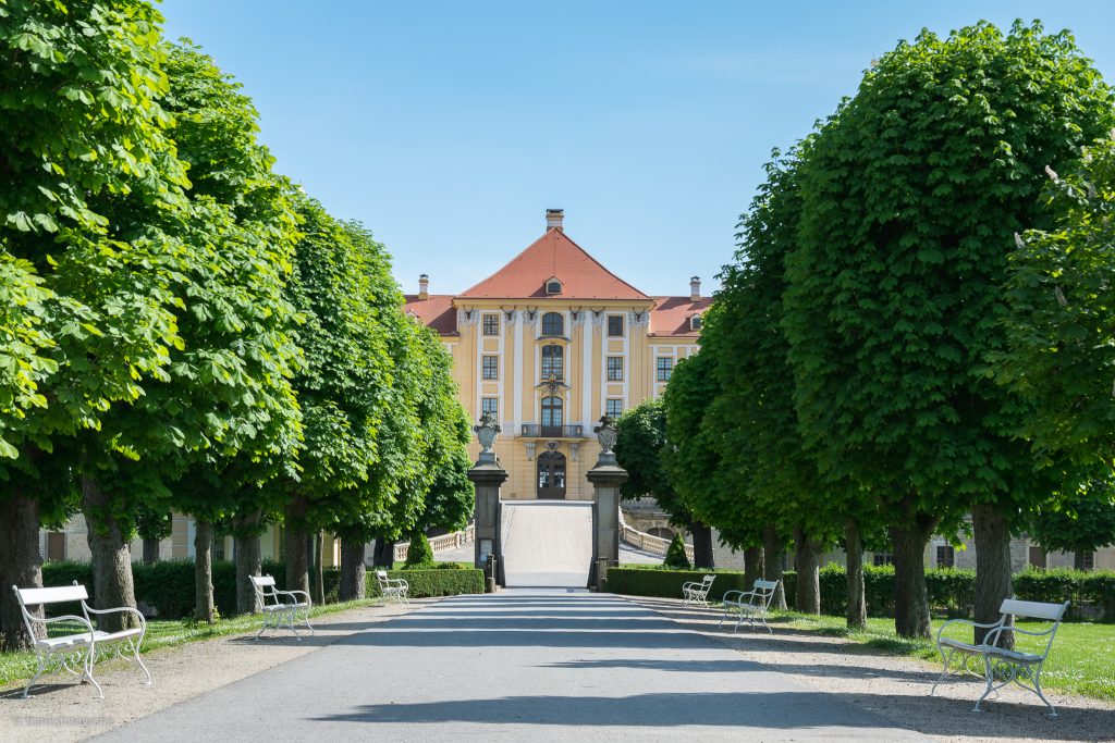 Allee im Schlossgarten Schloss Moritzburg