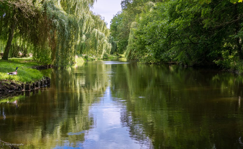 Die Nieplitz bei Blankensee Nieplitz Fläming
