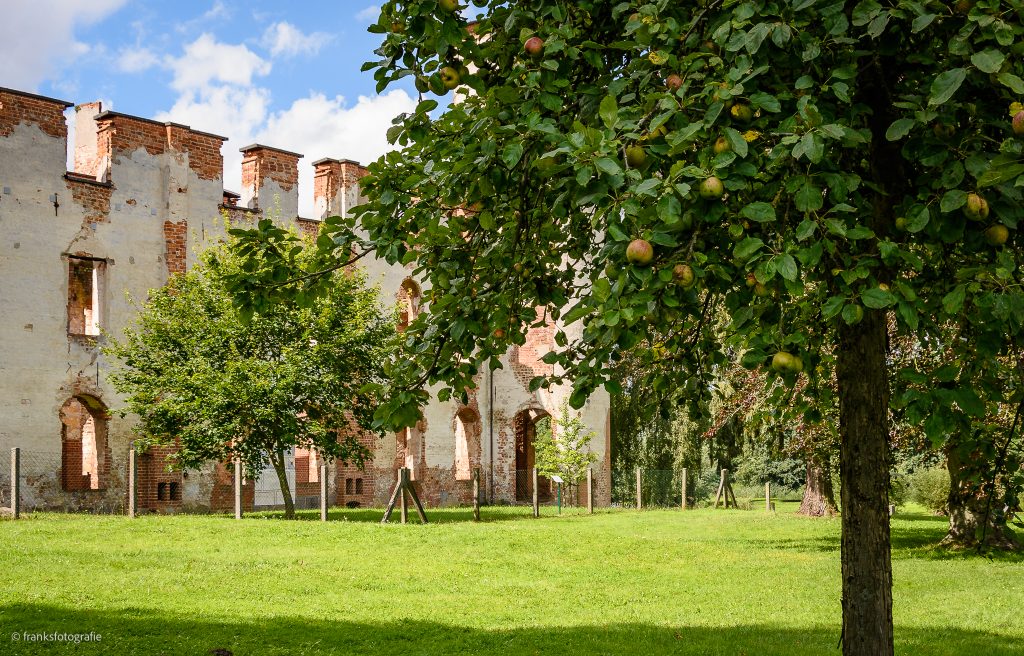 Obstbaumwiese Schloss Dargun erkunden - Obstbaumwiese