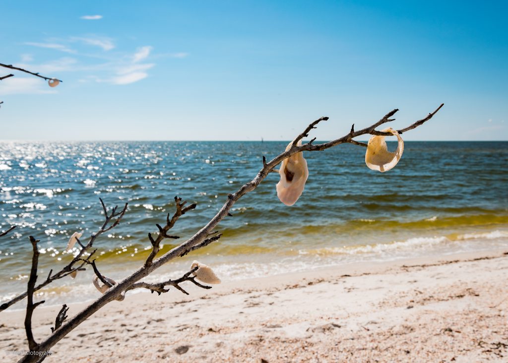 Strand und Meer Traumhaftes Florida entdecken Barefoot Beach