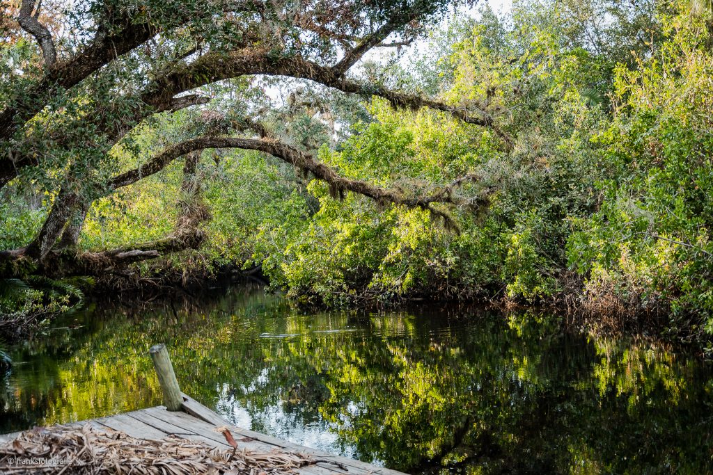 Estero River Traumhaftes Florida