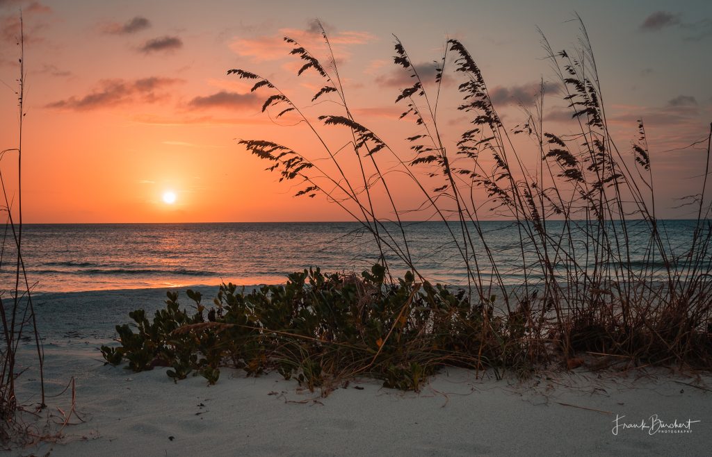 Gasgrilla sunset Traumhaftes Florida entdecken