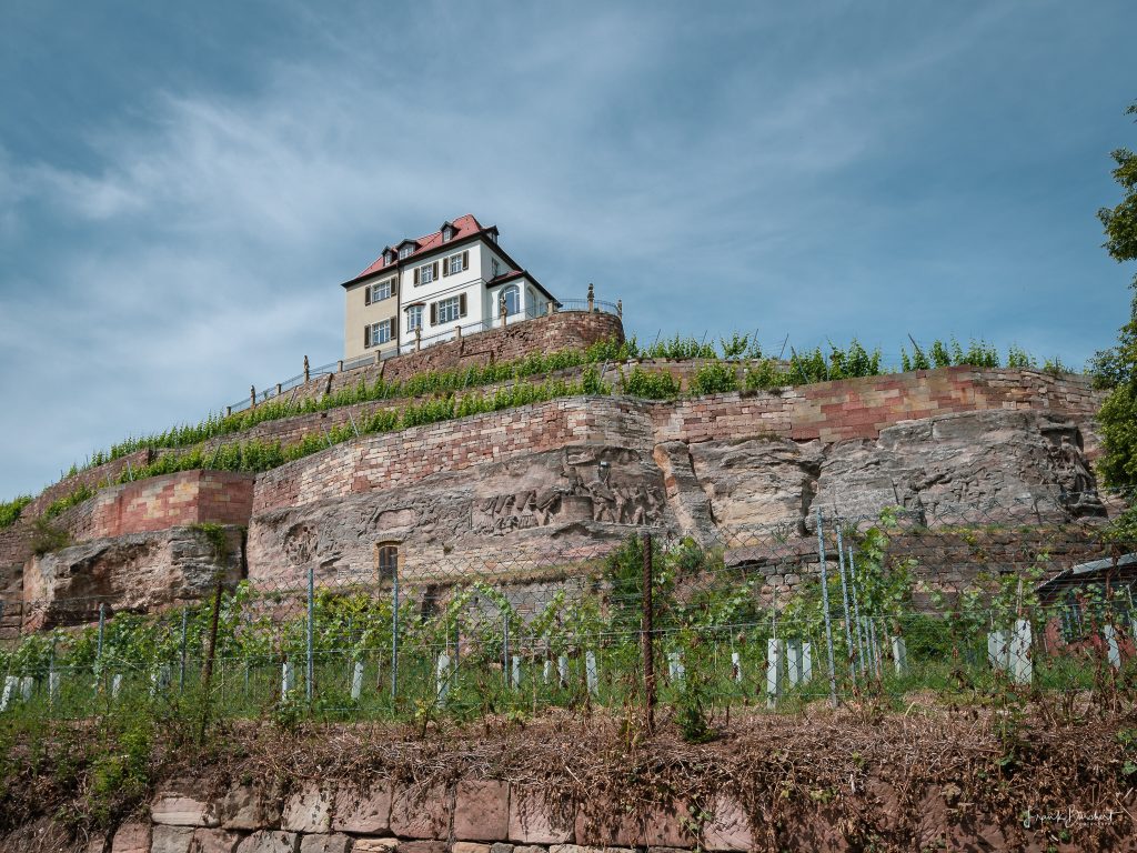 Steinernes Bilderbuch Unterwegs zwischen Saale und Elster
